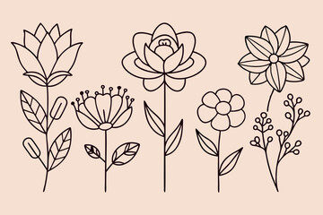 Simple line drawings of various flowers for coloring and art