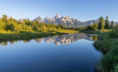Naklejka premium Tetons and Forest Reflected in Pond