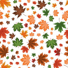 Fototapeta premium autumn seamless background. A bright vector illustration depicting a multitude of multicolored fallen maple leaves on a white background. colorful autumn-themed drawing