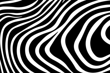 Abstract black wavy lines isolated on transparent background creating a hypnotic pattern. Flat graphic style. Concept of optical illusion and movement. Vector illustration