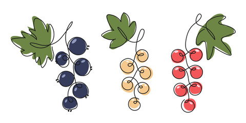 Bunch of white red black currant. Doodle Abstract drawn Ripe fresh berry Fruit. Summer garden harvest. Healthy vegan organic vitamin food. Tea jam dessert ingredient. Element for design