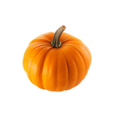 pumpkin background-less