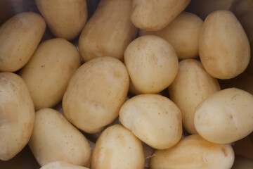 Peeled new potatoes in water