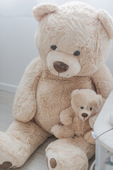 teddy bear 