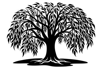 Willow Tree, Willow Tree Silhouette vector illustration © Trendy CraftSVG 