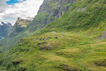 Lush Green Forested Snow Capped Mountains High above Geiranger Fjord in Midsummer, Norway