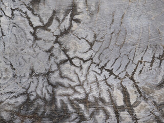 Cement floor texture pattern