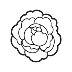 Peony, linear illustration, contour, template, flowers, for a card, for a logo, print, garden, bouquet, graphic element.