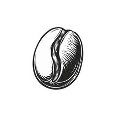 Black and white illustration of a coffee bean.