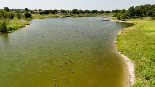 Aerial View of local lake with birds