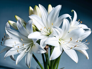 bouquet of lilies, nature, pink, plant, flowers, blossom, white, isolated, beauty, bloom, garden, flora, bouquet, spring, petals, petal, closeup