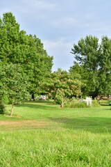 Fototapeta premium Grass and Trees in a Yard