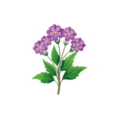 Fototapeta premium Creative Outline flower set designs.