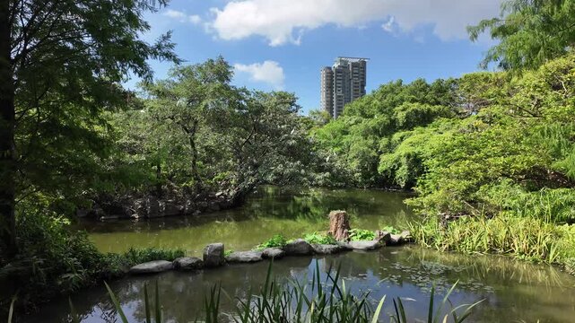 Summer of Daan Forest Park in Taipei, Taiwan