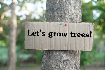 Paper sign with text Let's grow trees!. Concept, forest conservation for the earth. Environment protection. Campaign and motivate to grow trees to increase forest area.     