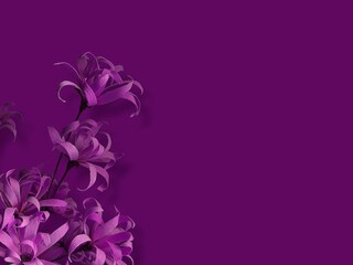 Flower stem and leaves on copy space background. View with copy space. Flower frame concept