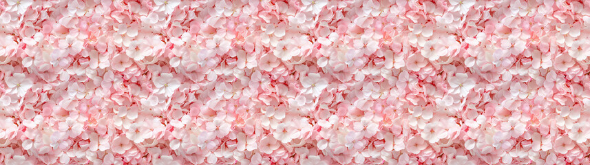 Fototapeta premium a densely packed pattern backgroundof cherry blossom petals completely covering the surface