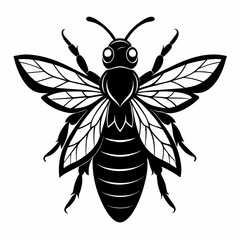 Black and white fly bee  vector illustration 