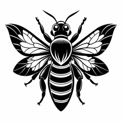 Black and white fly bee  vector illustration 