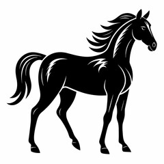 Obraz premium Horse vector illustration image 