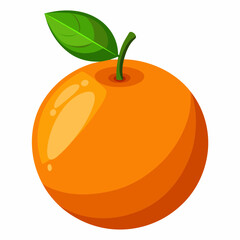 orange fruit vector illustration