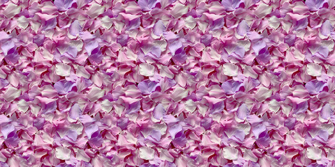 Fototapeta premium a densely packed texture background of individual orchid petals completely covering the surface