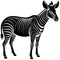 zebra vector illustration
