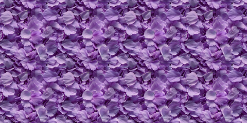 Fototapeta premium a densely packed texture background of individual violet petals completely covering the surface