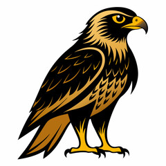 eagle isolated on white background