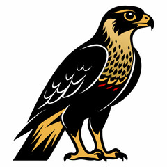 eagle on a white