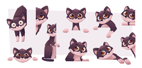 Peeking cat. Looking up and down head of domestic animal exact vector cats collection