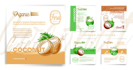 Coconuts hand drawn exotic tropical fruit vector post, flyer and label layout template collection