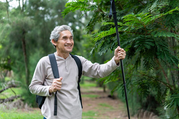 portrait active senior man holding a trekking pole while exploring in tropical forest on summer time