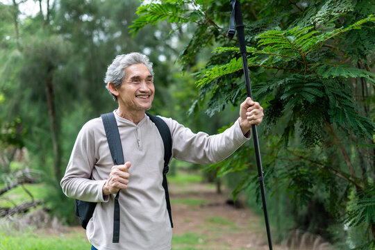 portrait active senior man holding a trekking pole while exploring in tropical forest on summer time