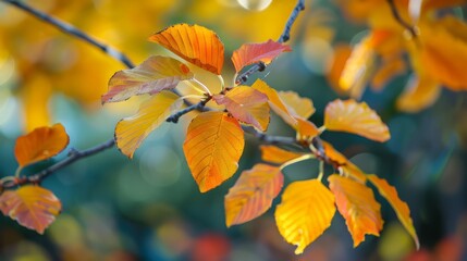 Start of Autumn: the season of harvest and hope
