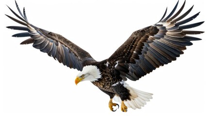 Obraz premium A majestic bald eagle soaring through the sky with its wings extended