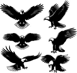 collection of eagle