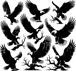 collection of eagle