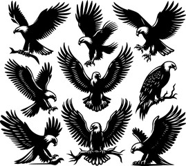 collection of eagle