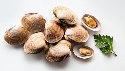 Fresh clams arranged on a white background with parsley, showcasing their natural texture and colors, perfect for seafood cuisine and recipe purposes.