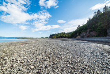 Rocky Beach On Alaskan Coastline