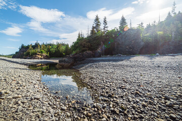 Tidepool Along Rugged Coastline
