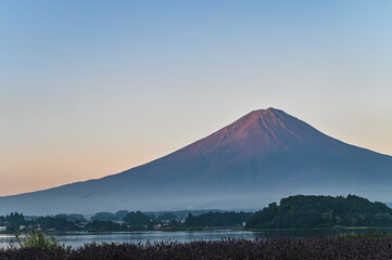 Fototapeta premium 日本山梨県河口湖からの夜明け前の富士山