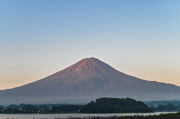 Fototapeta premium 日本山梨県河口湖からの夜明け前の富士山