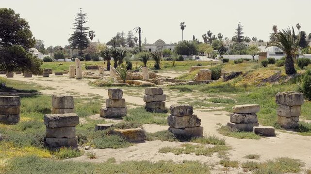 Scenic view of ruins of ancient Carthage Punic Ports with remains of stone structures and dry docks overgrown with lush greenery under clear sky. Archaeological site of Tunisia. High quality 4k