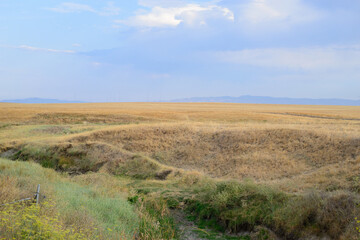 Fototapeta premium Open Space North of Flannery Rd in Rio Vista, California. This area is designated for development by the California Forever/East Solano Plan. 