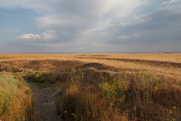 Open space North of Flannery Rd in Rio Vista, California. This area is planned for development by the California Forever/East Solano Plan. 