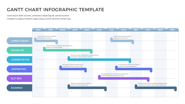 Project timeline infographic template with 6 tasks, gantt chart, vector eps10 illustration