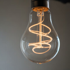 bulb with dollar sign