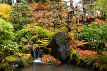 Beautiful vibrant fall colors in the colorful forest of Portland Japanese Garden in Oregon, USA